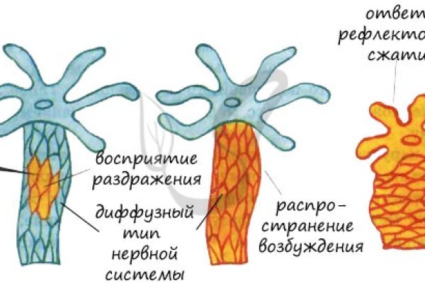 Ссылка кракен зеркало тор