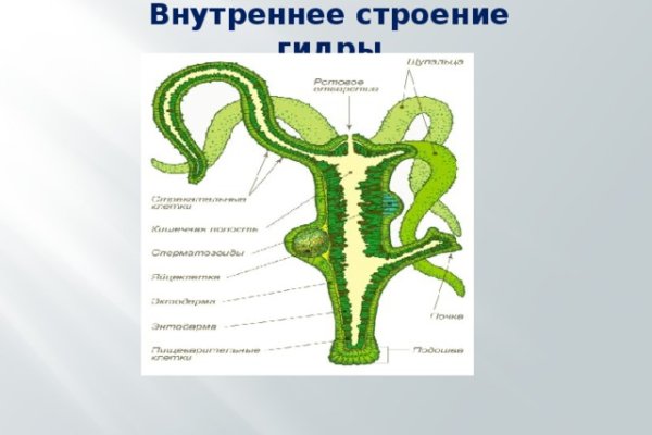 Кракен зеркало впн