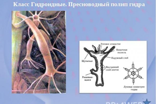 Кракен сайт сегодня